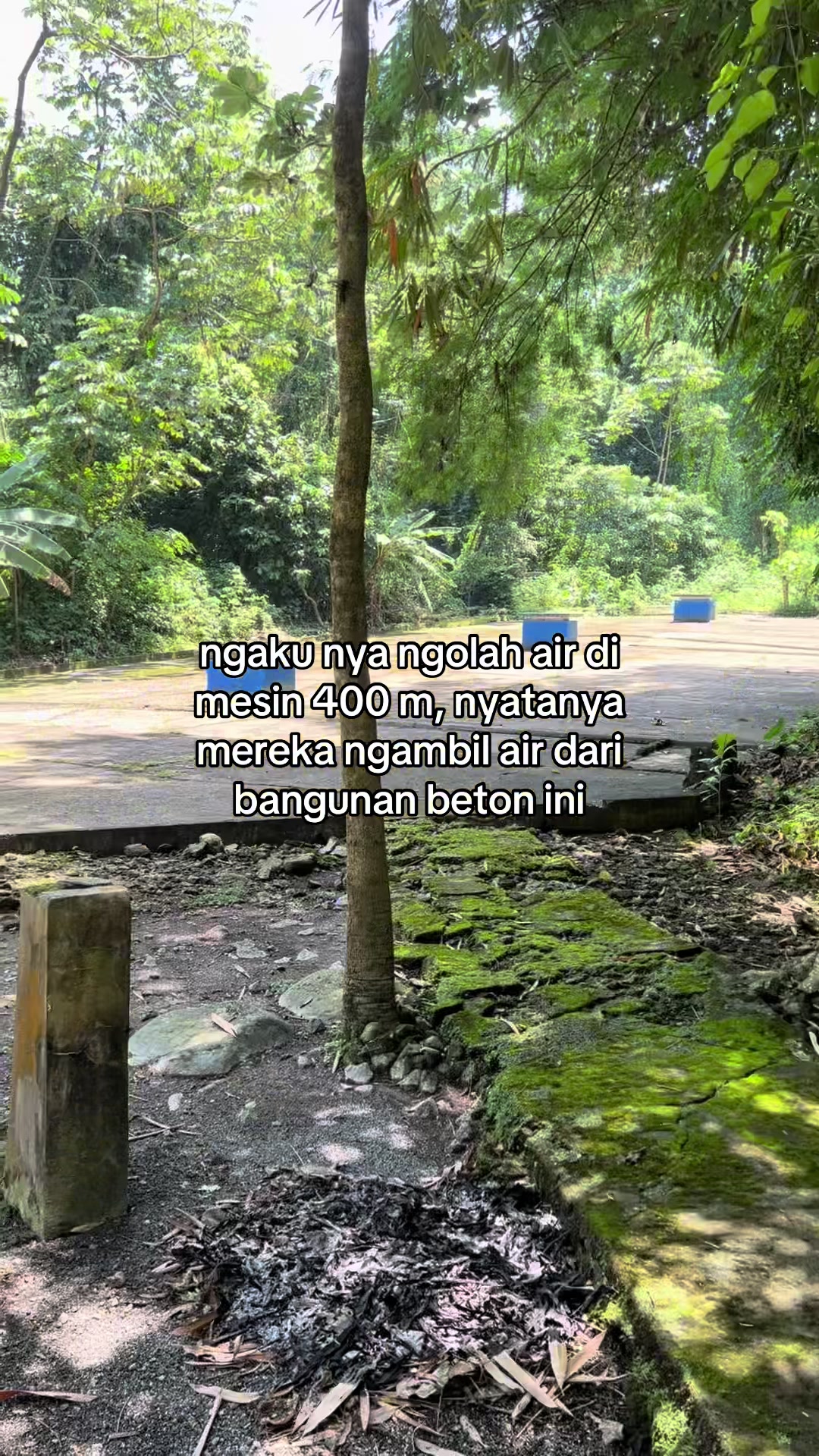 @rich.inces