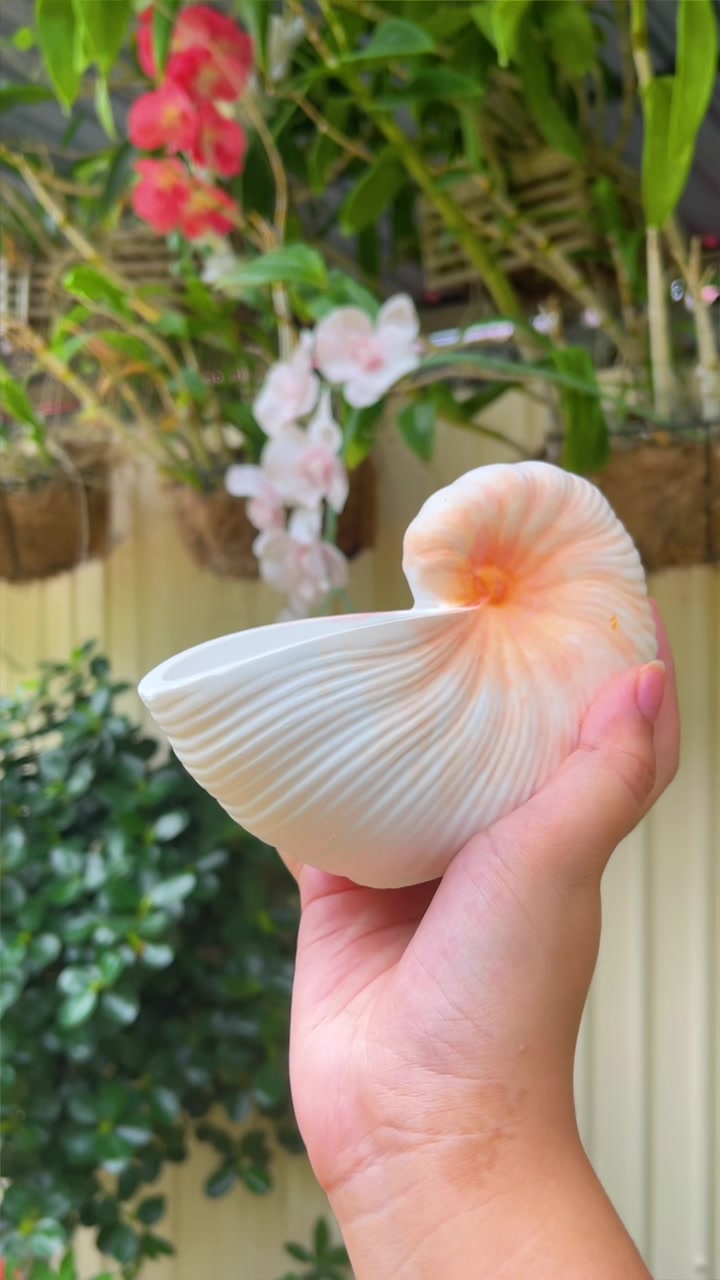 @𝑩𝒂𝒊𝒑𝒐𝒐𝒉🌺