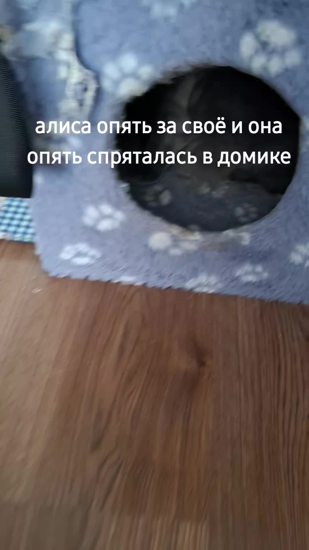 @UTC|DTC|санс🩵