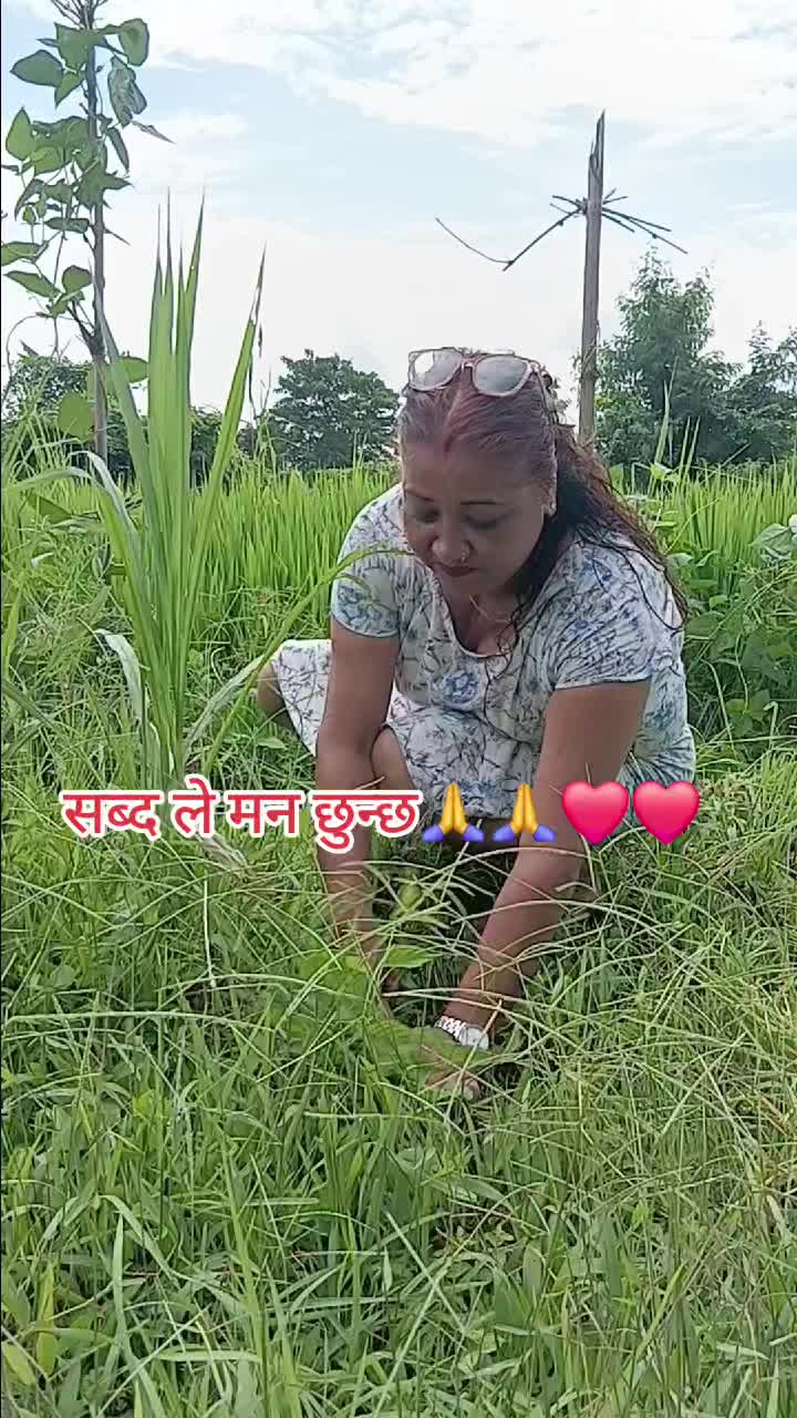 @Tara Pokhrel