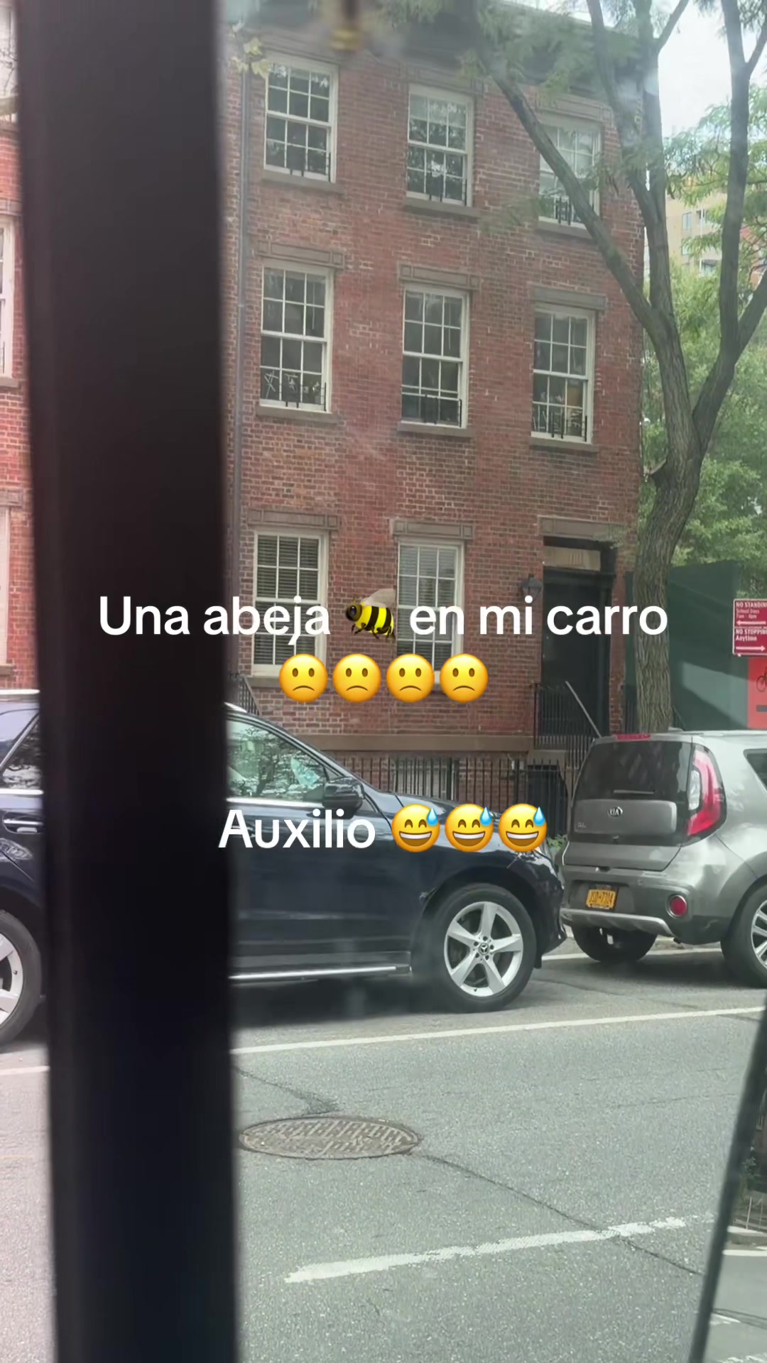 @Cristina
