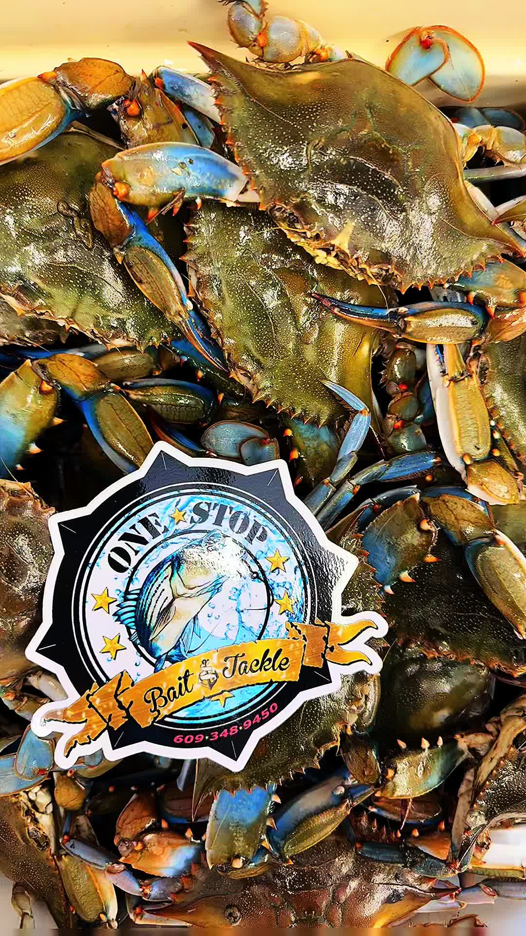 @One stop bait & tackle