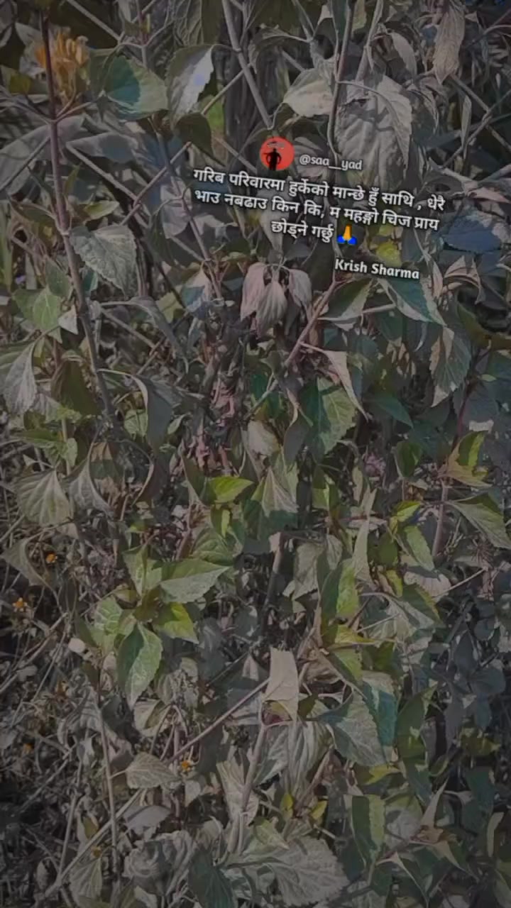 @paru karki