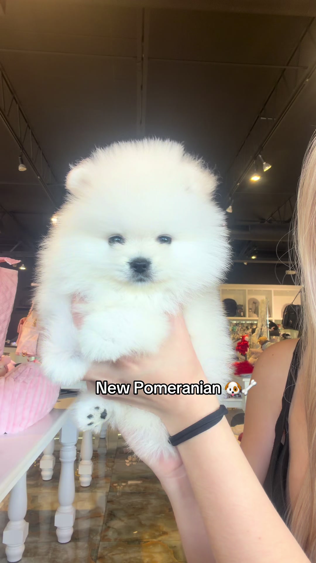 @TeaCups, Puppies & Boutique &reg;️