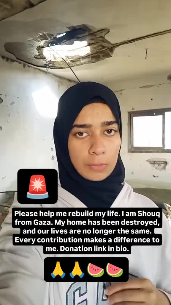 @shoug 🇵🇸