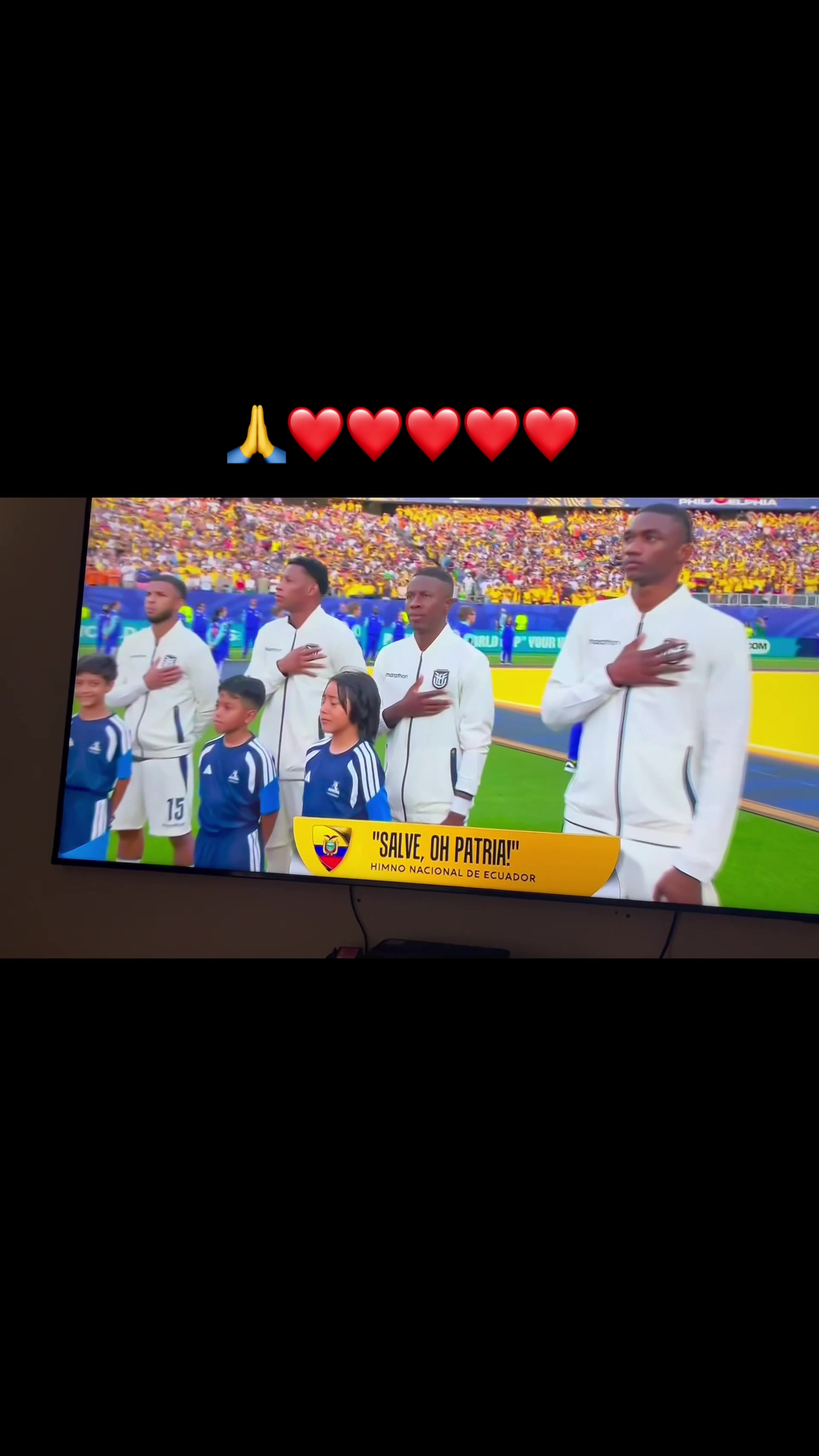@elviramizhquiri63