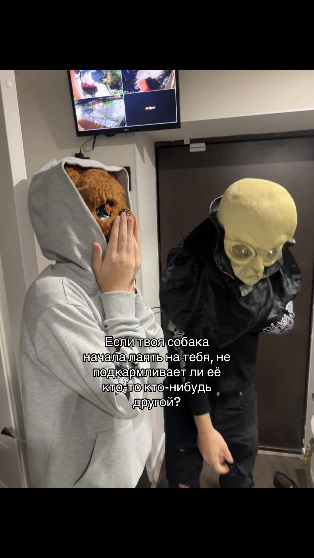 @platiikk#1313