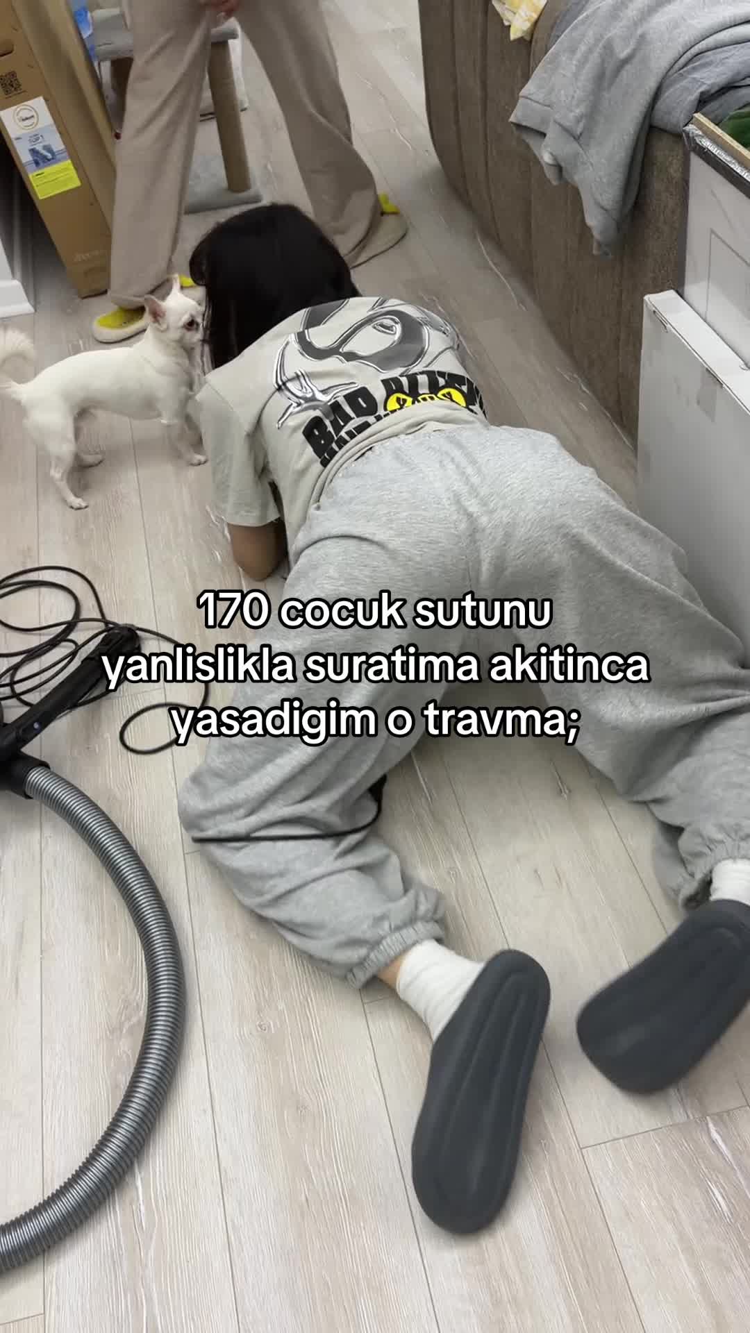 @feryal🐣
