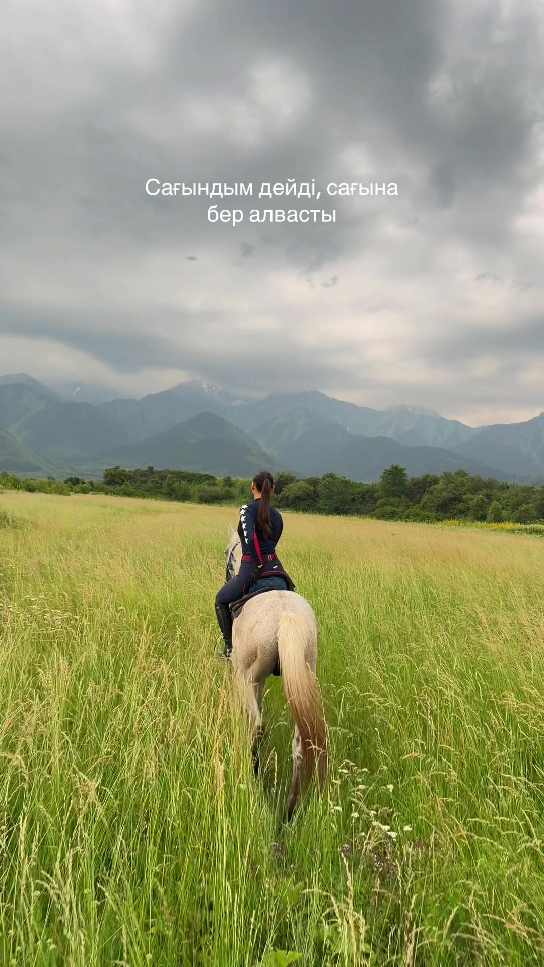 @tulpar_horses