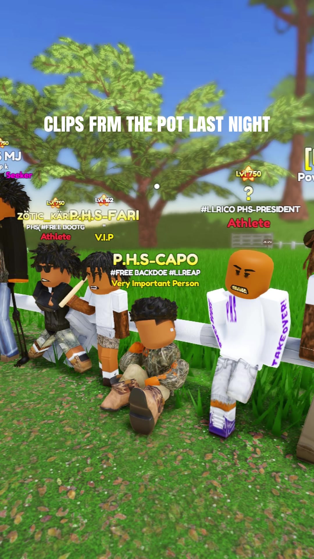 @CAPOMONTANA🥋