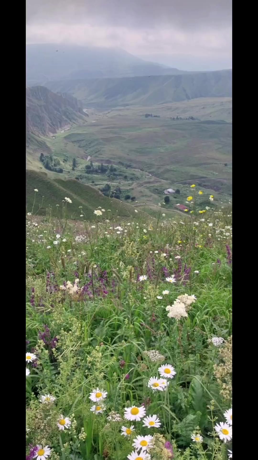 @Нагьид Талибрин
