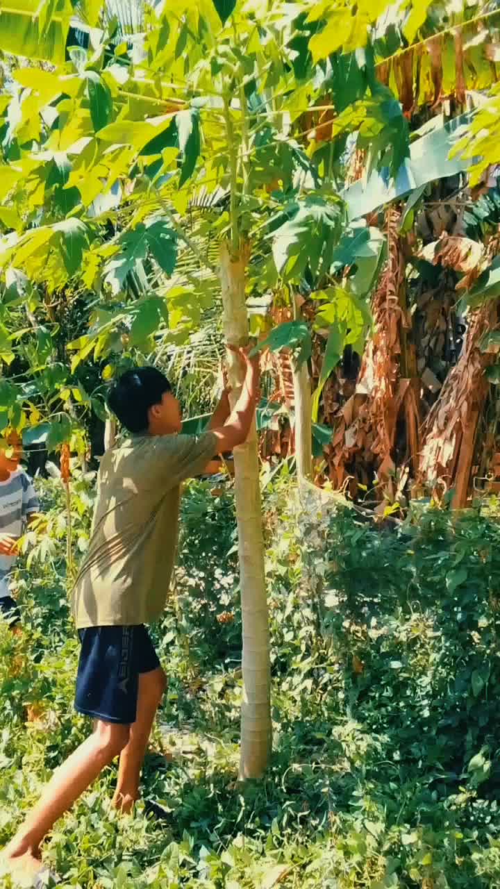 @29_April_2009👋