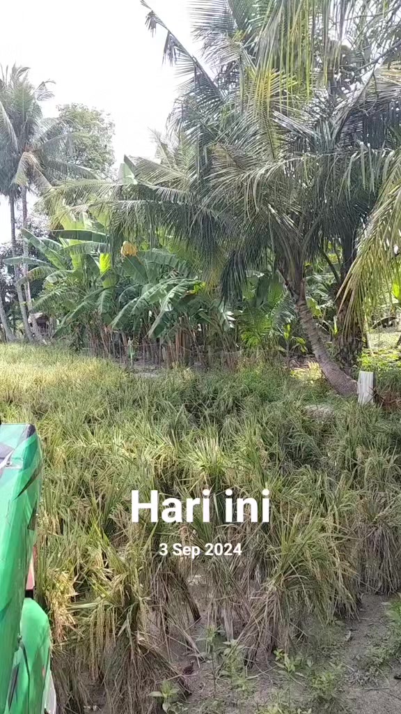 @Ronni_Amb✌️