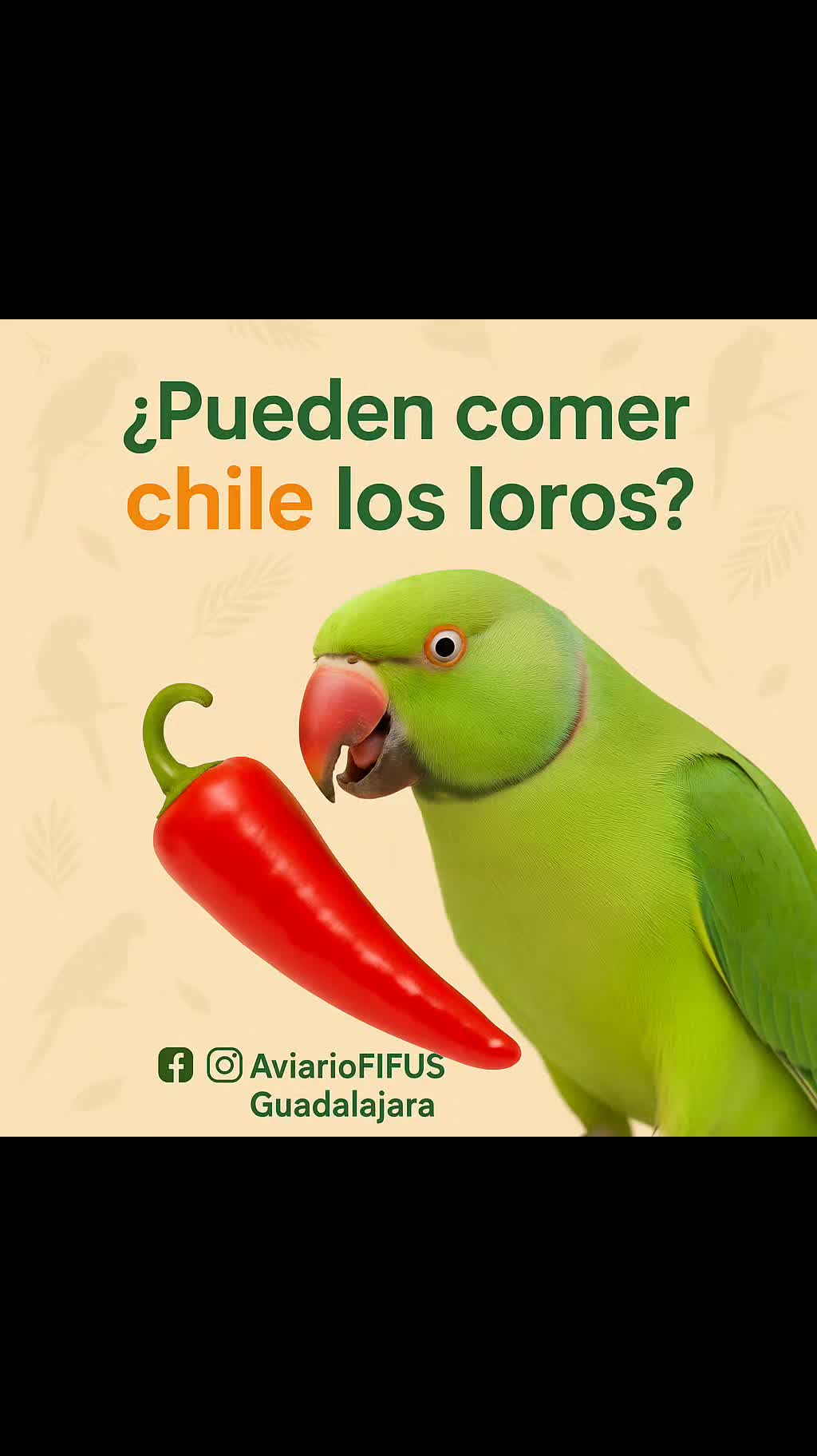 @Aviario FIFUS Guadalajara