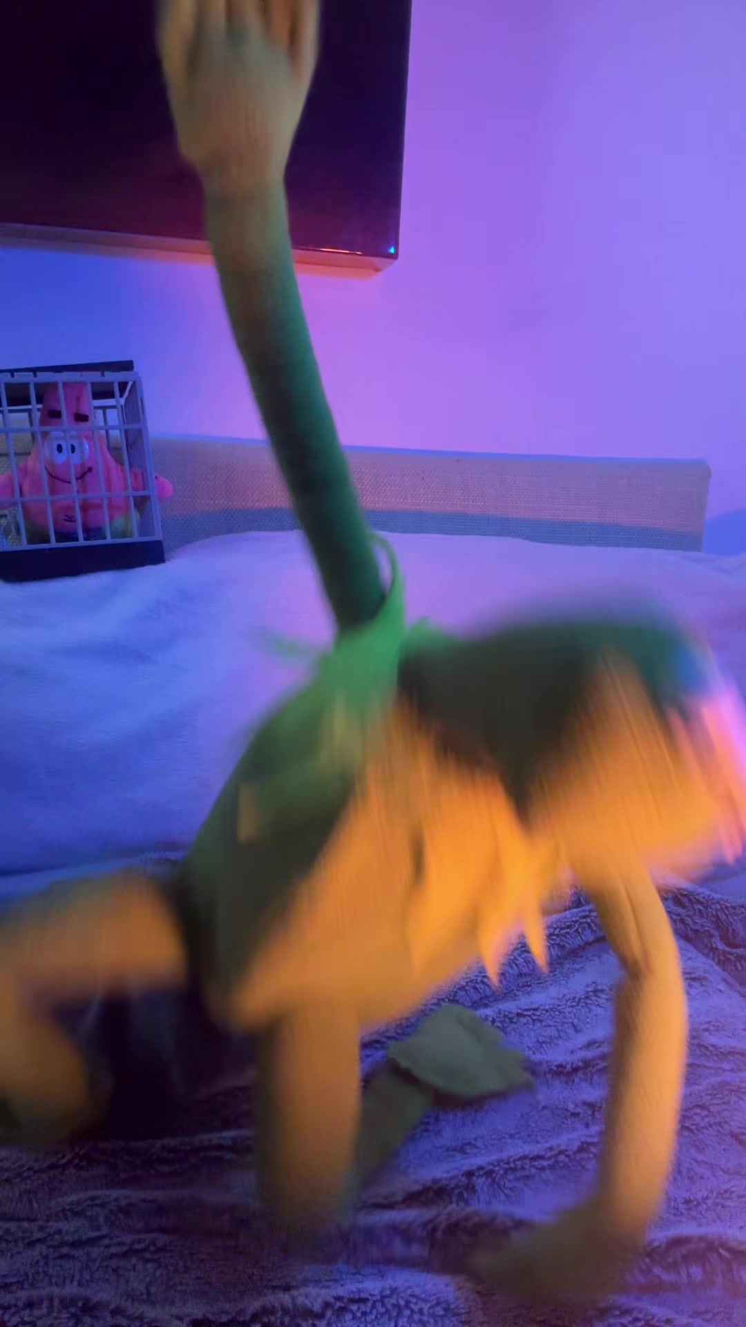 @🐸 Crashout Kermy 🐸