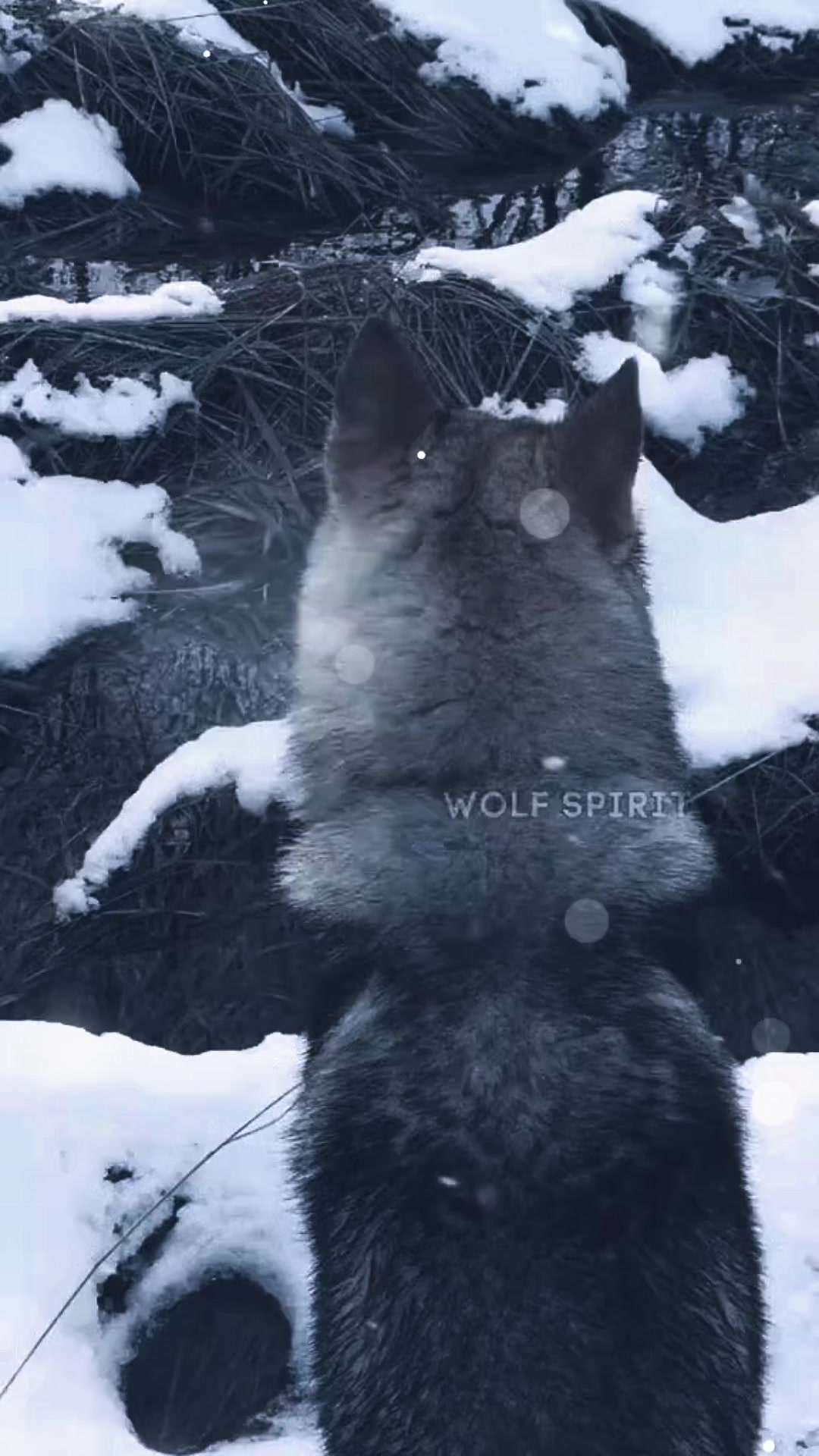 @❀ ﻉ√٥ﺎ 𝕆𝕔𝕖𝕒𝕟 ❀