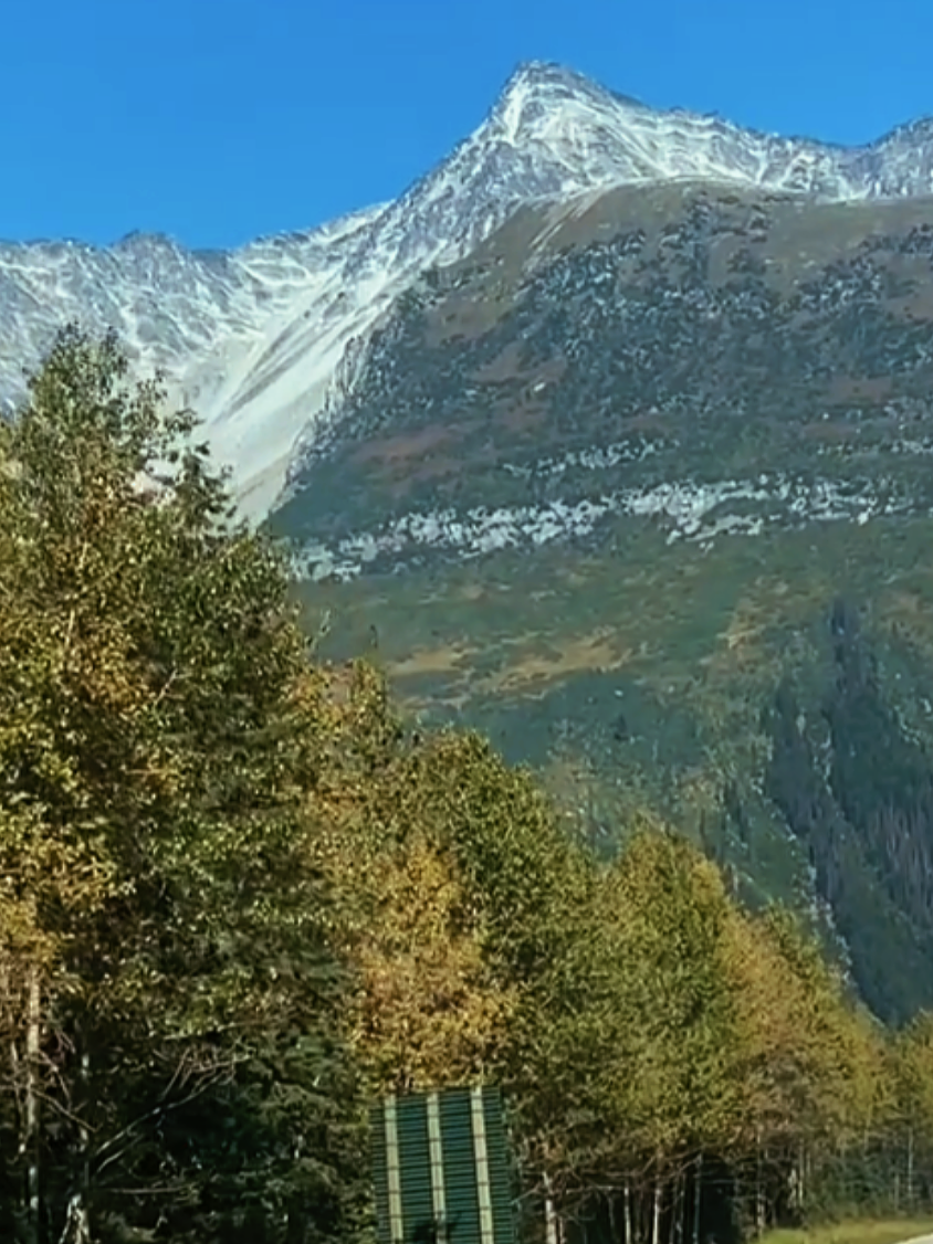 @Roman Bovysh