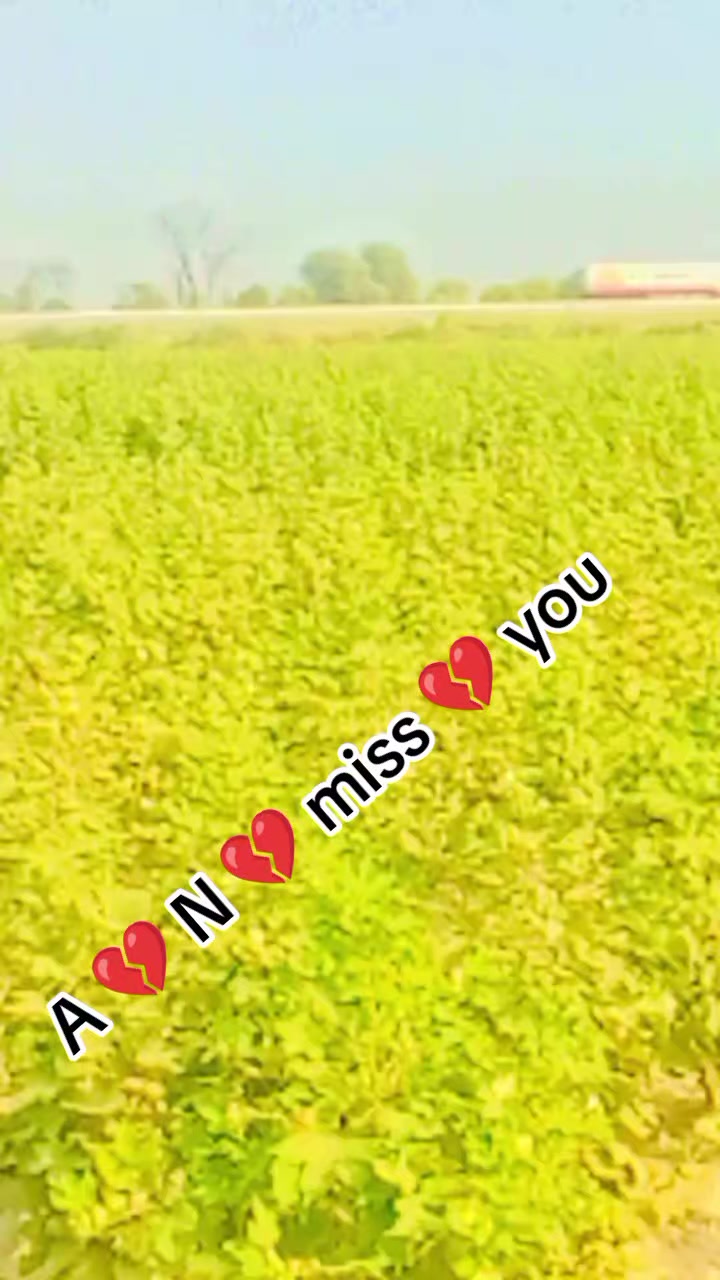 @Miss 💔🌹 you 🌹💔 🌹 jan