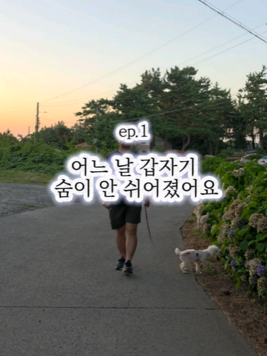 @진심먹거리