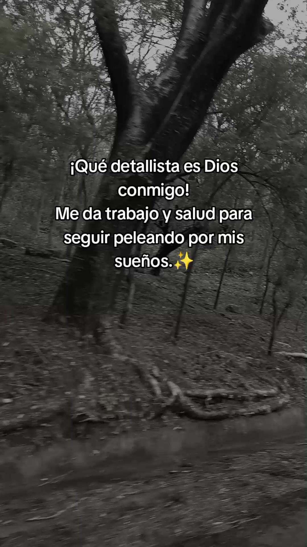 @Sebastián 74