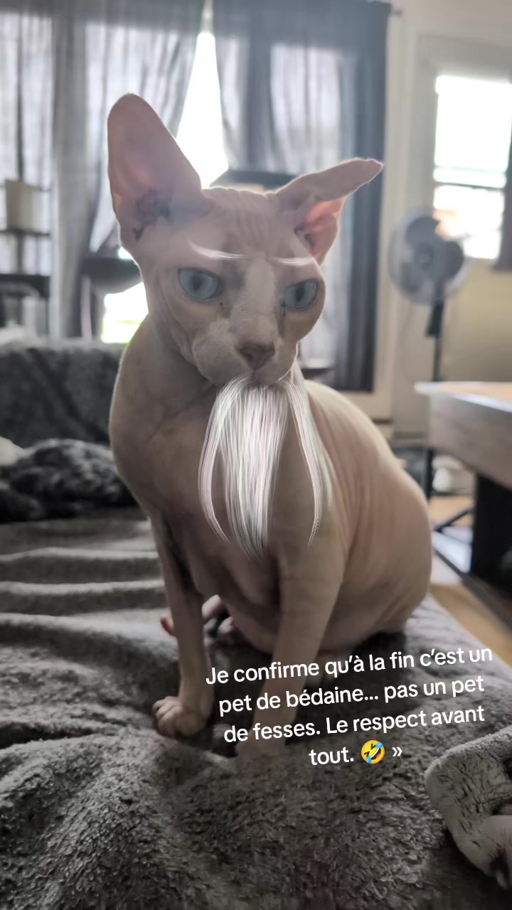 @Amy_dusoleildanstajournee