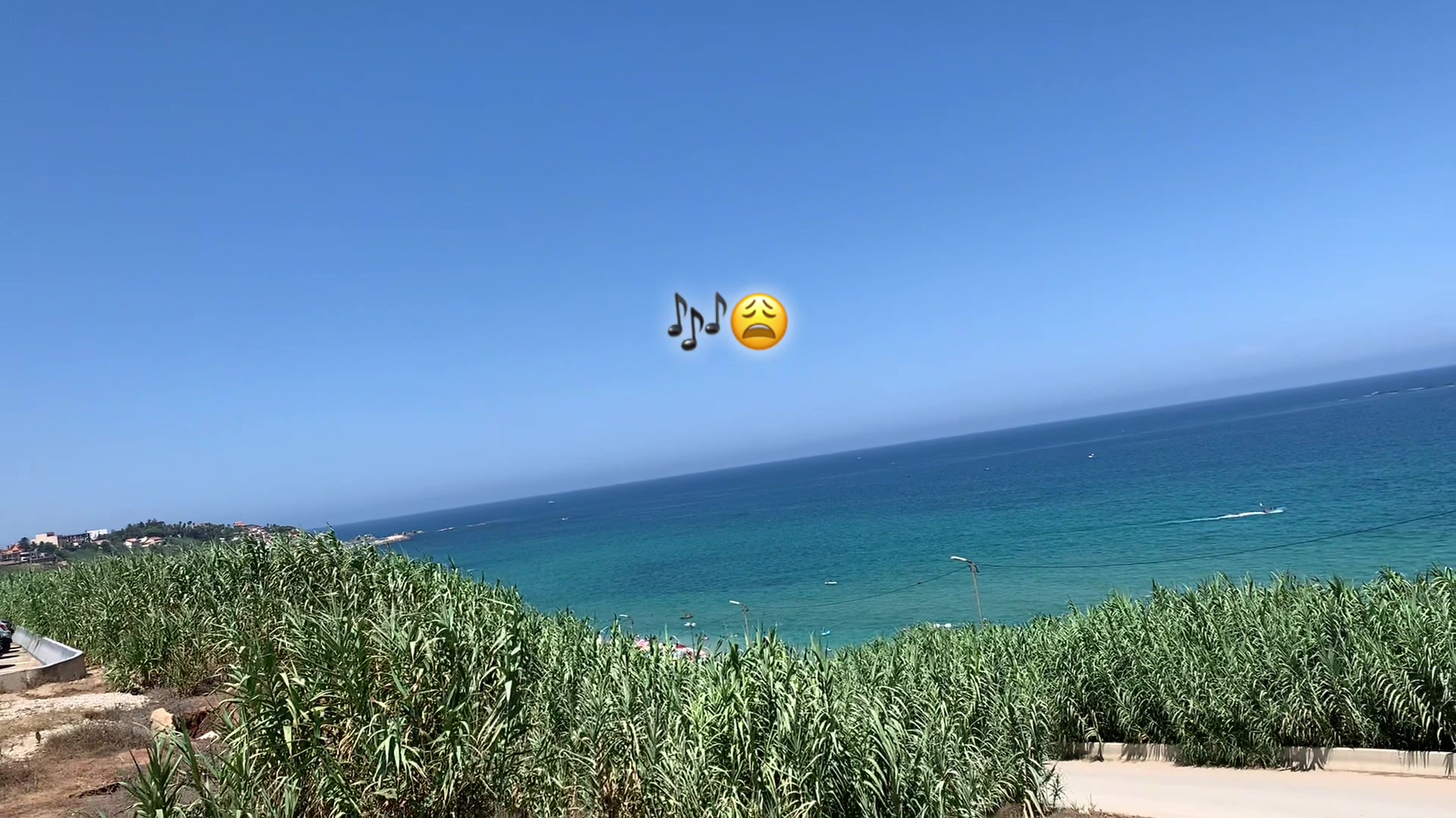 @T‼️