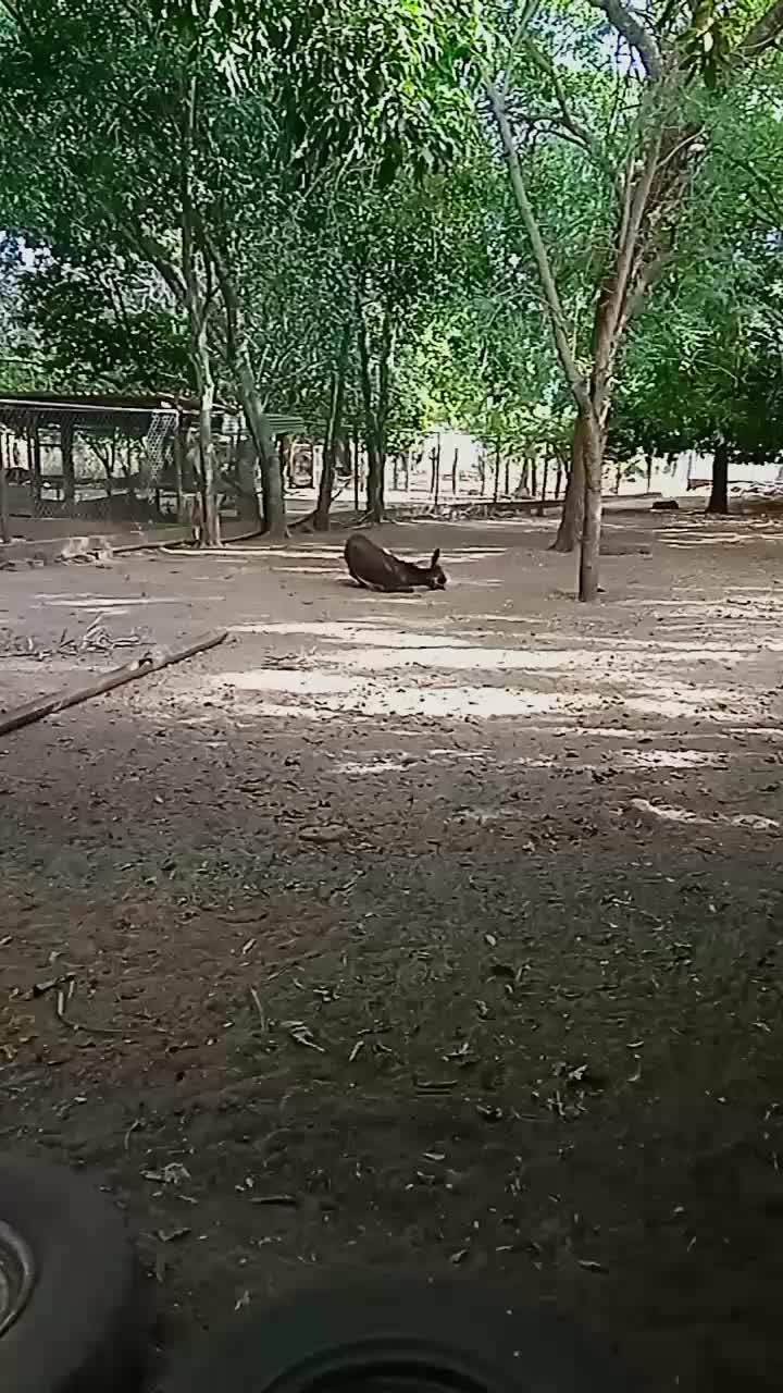 @Sofía Rivas