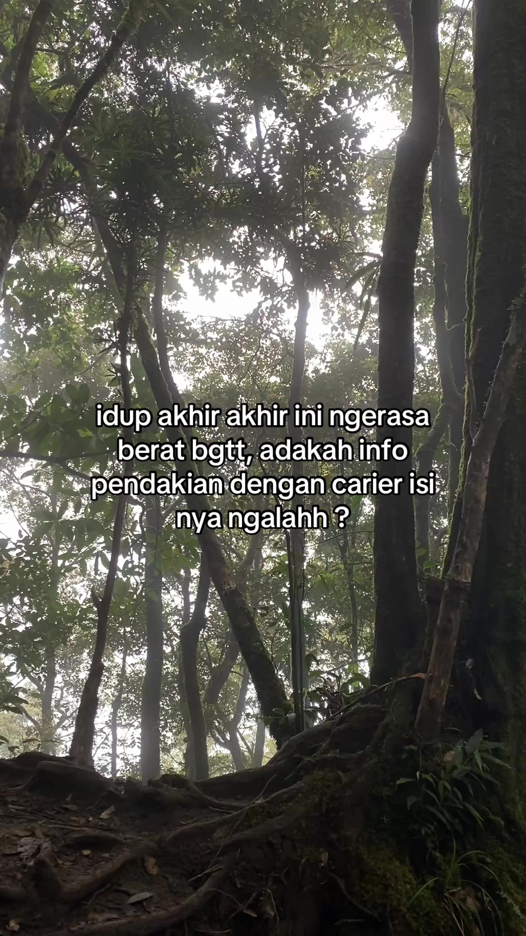 @๐ผ เผโโฟ