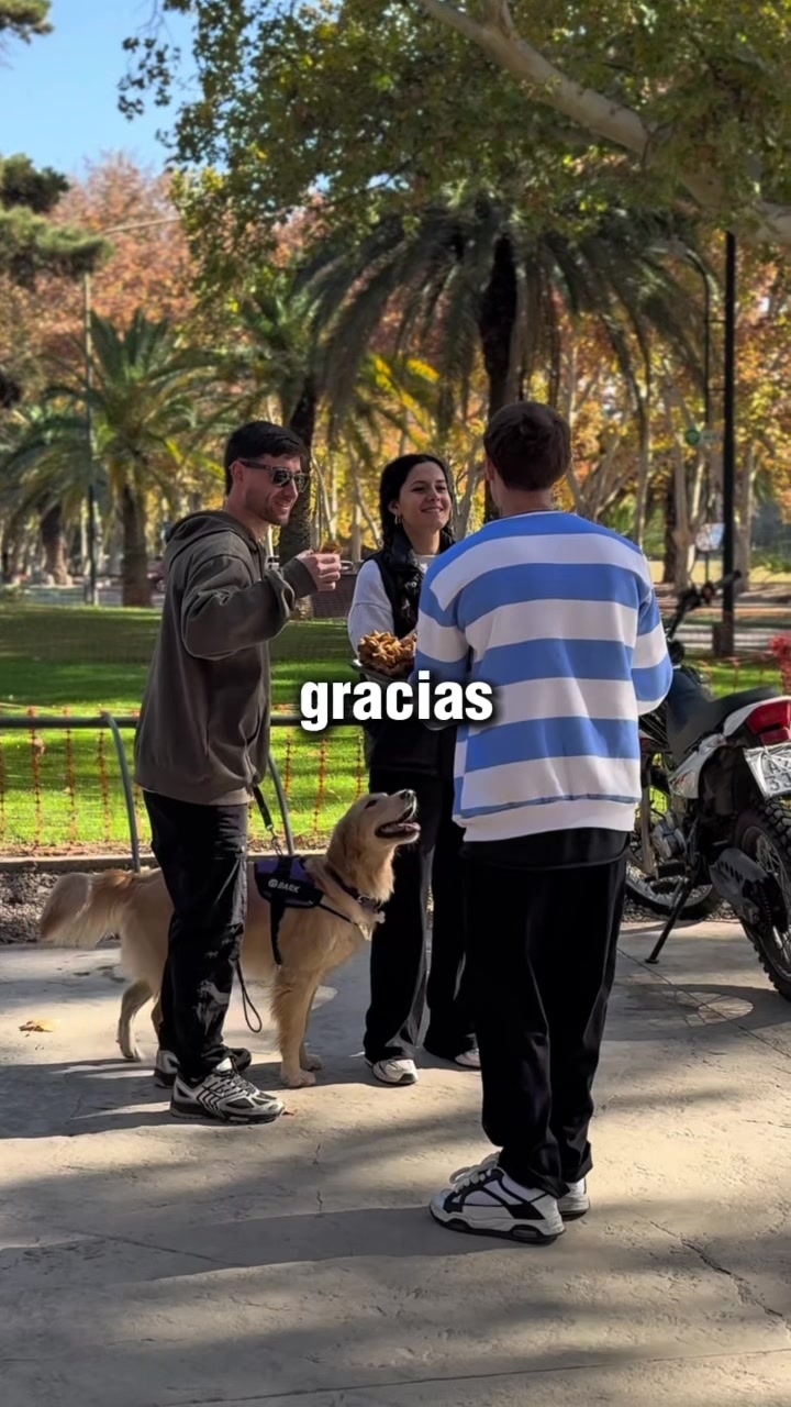 @holaparviz