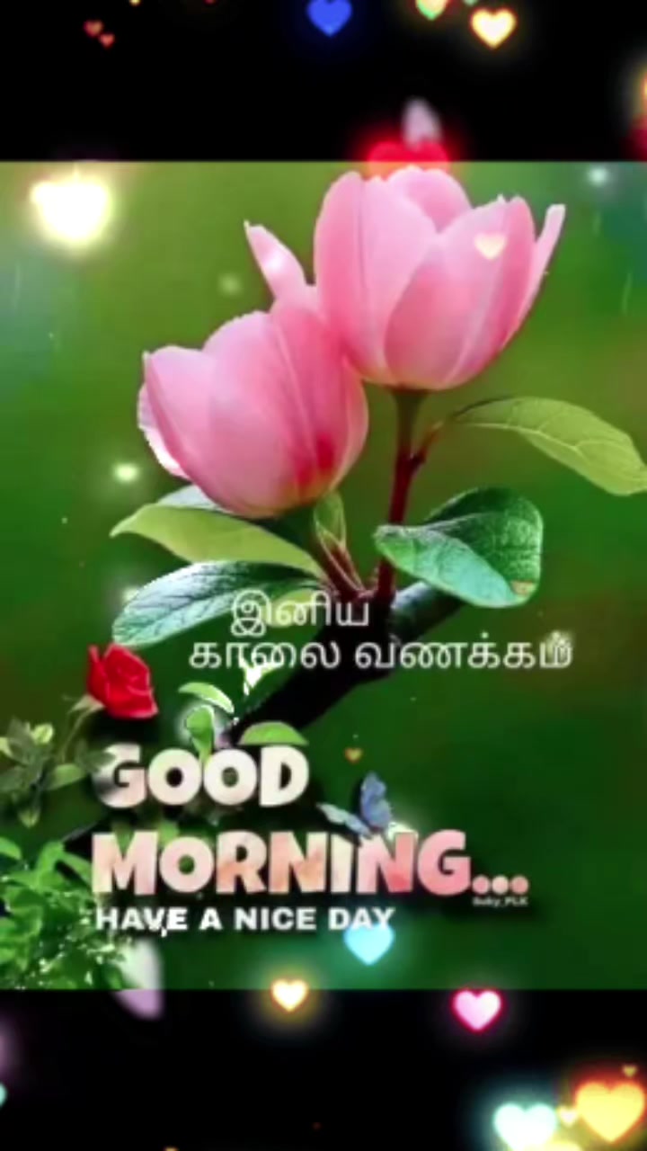 @Sai Meena