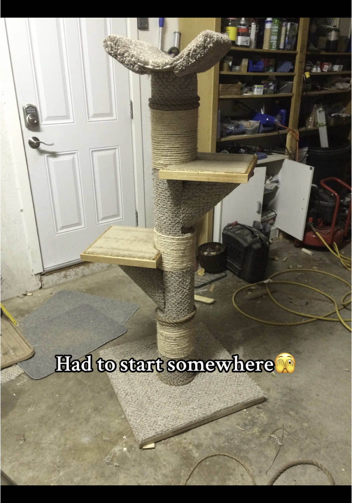 @customcatcribs