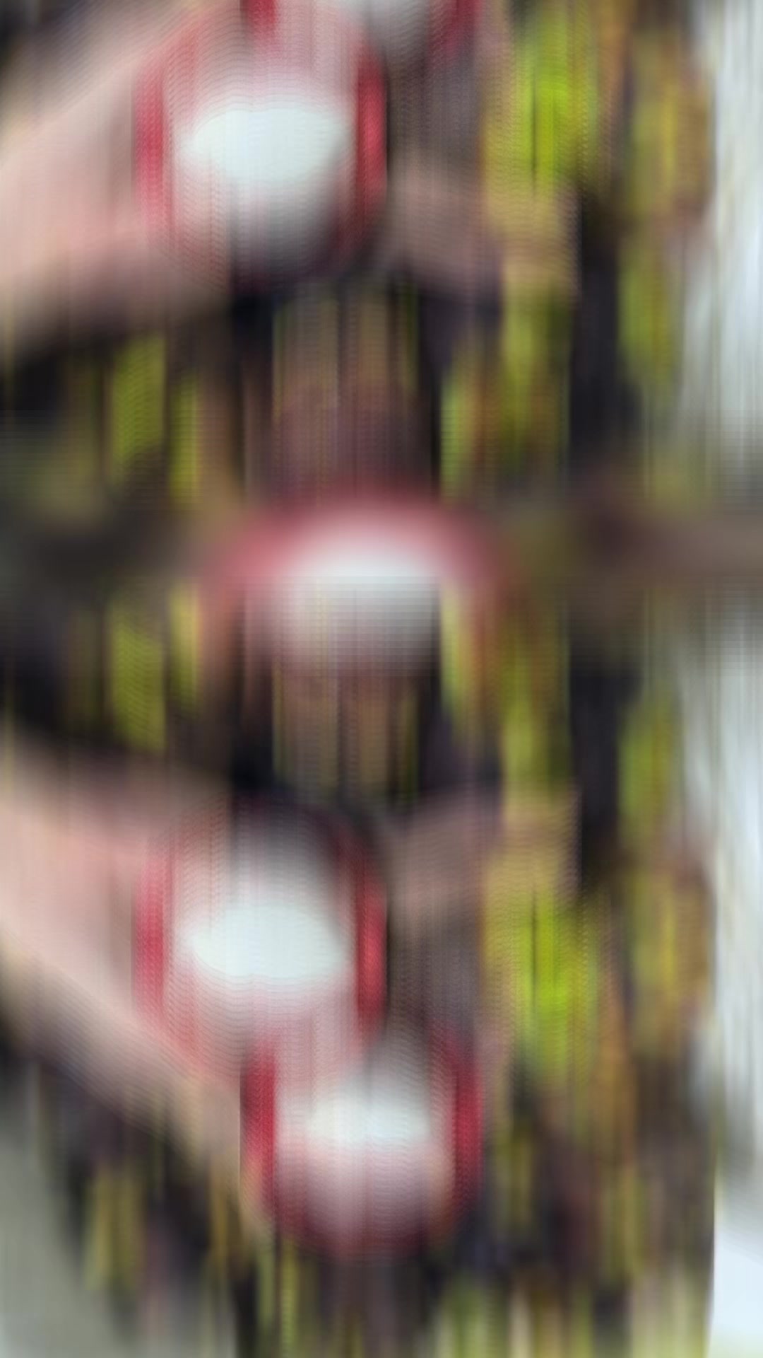 @阮氏娥37(Nghệ an)🇻🇳🇹🇼