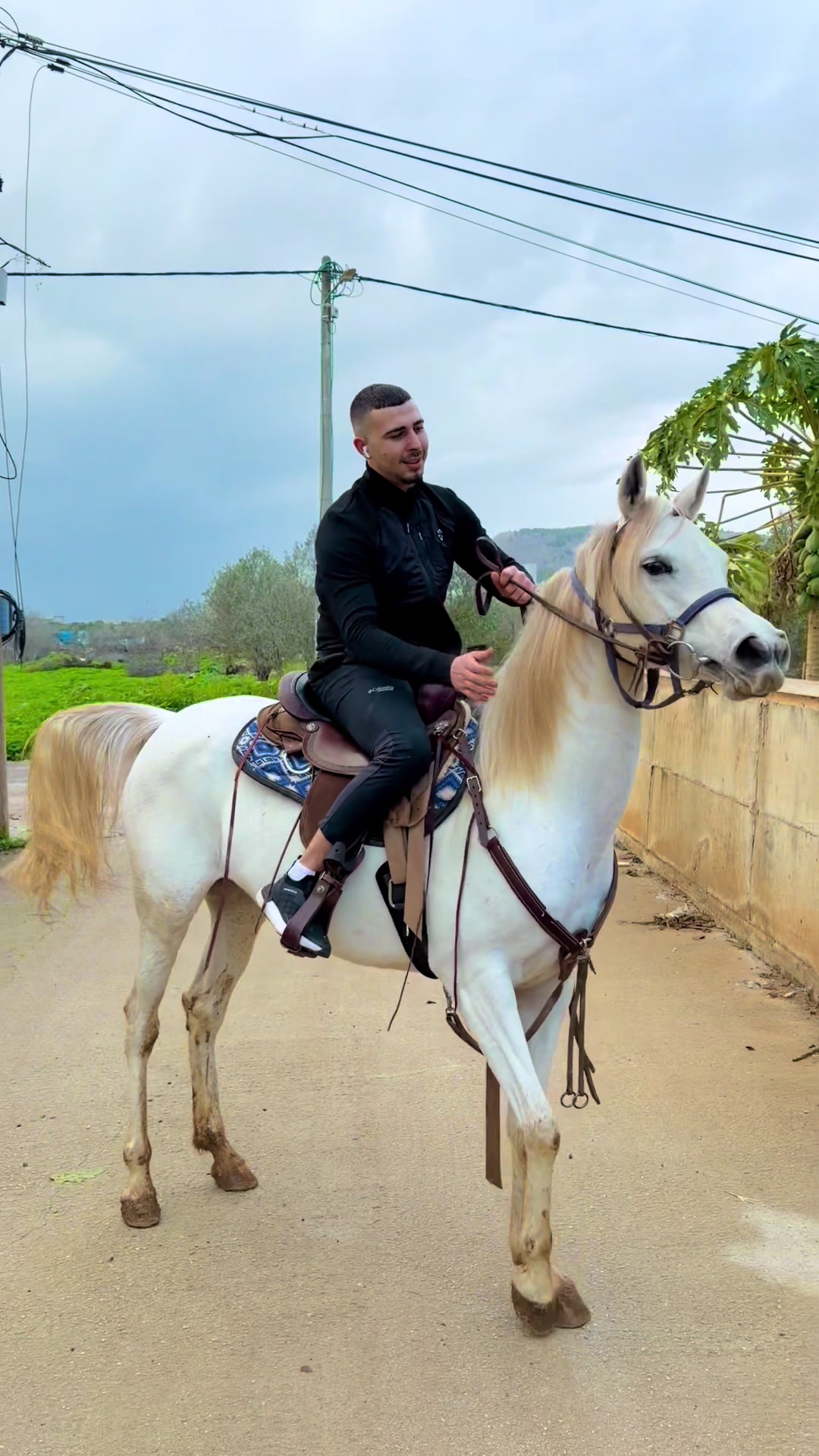 @אמין סאלח