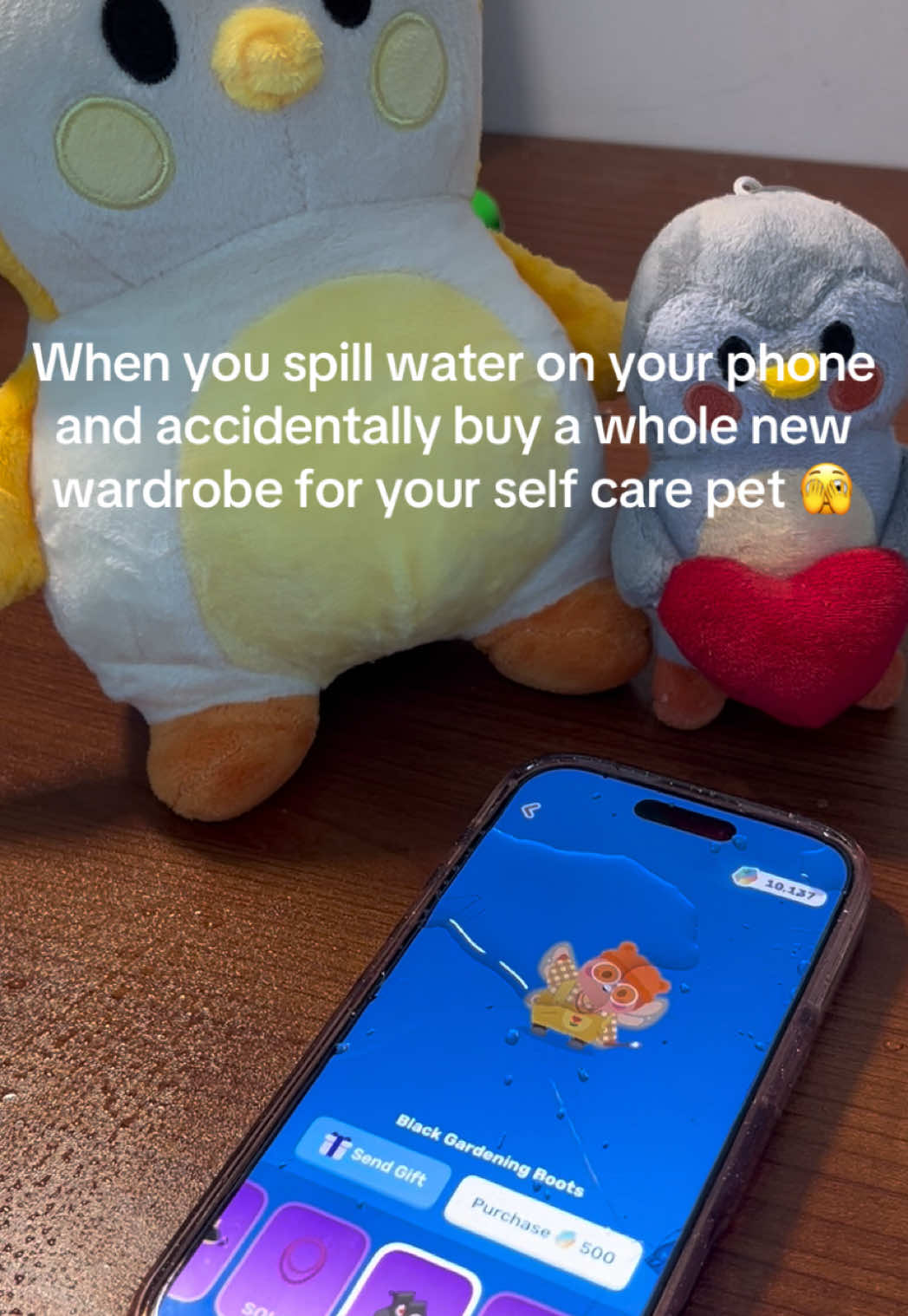 @Finchcare 🐣