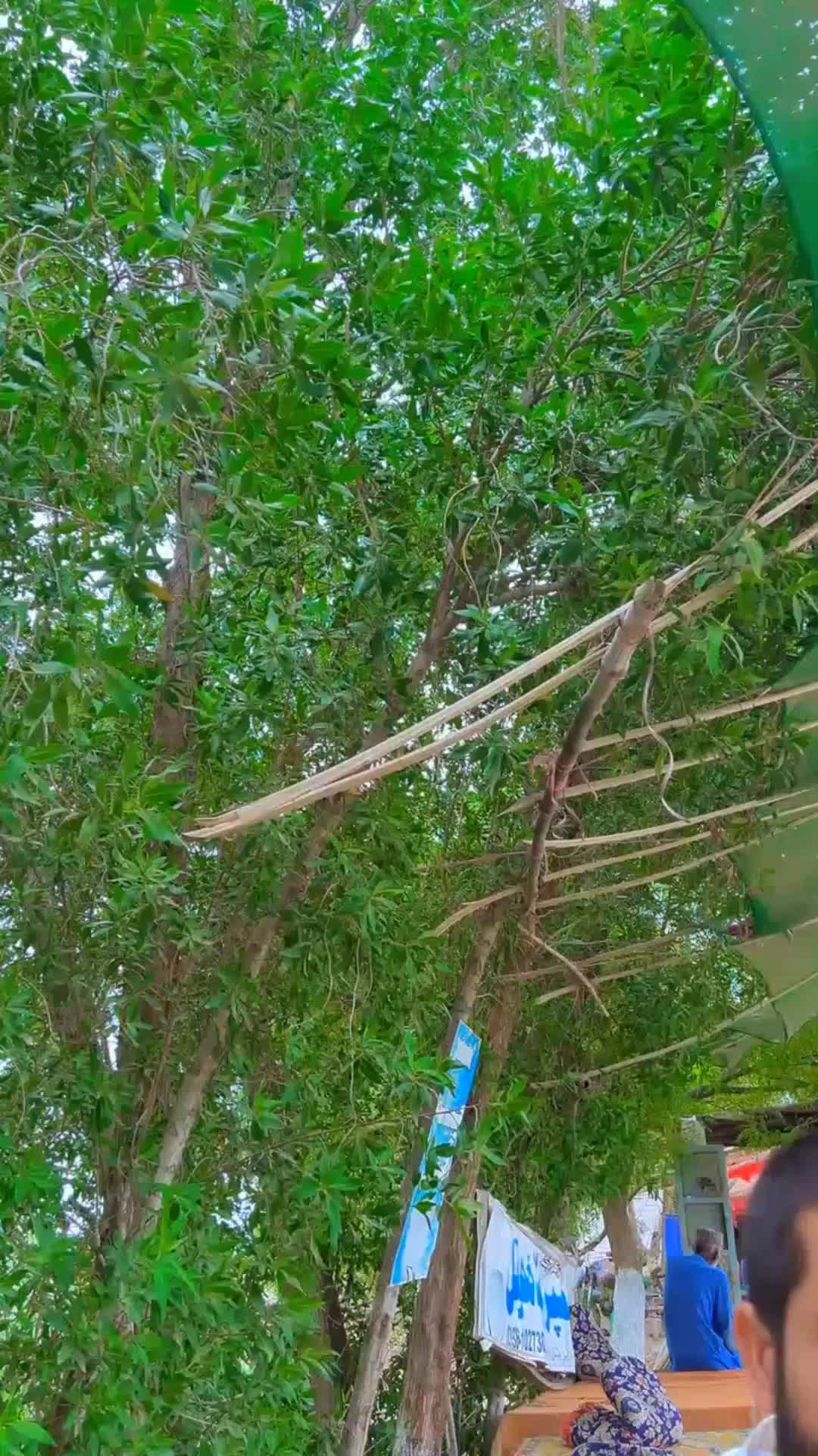 @Meeran Bux