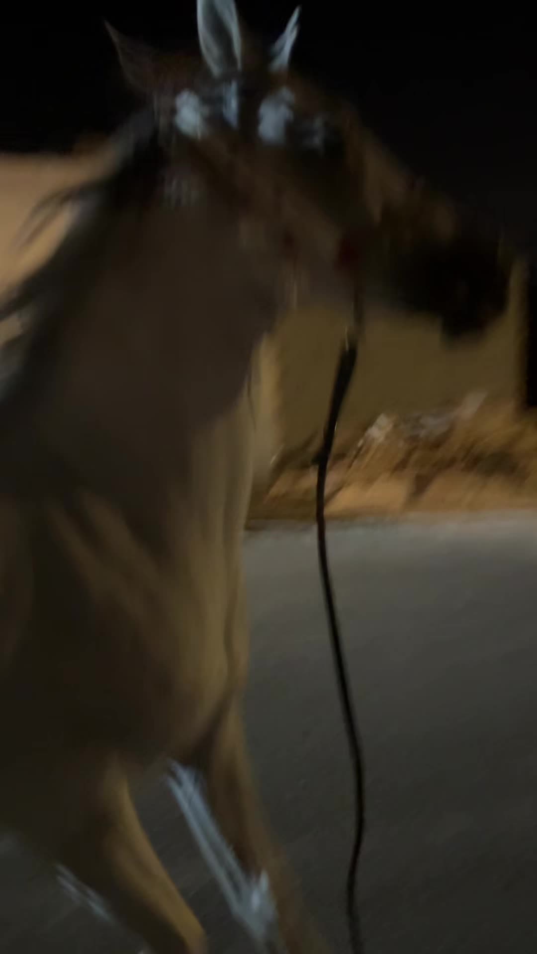 @𝙵𝙰𝙸𝚂𝙰𝙻