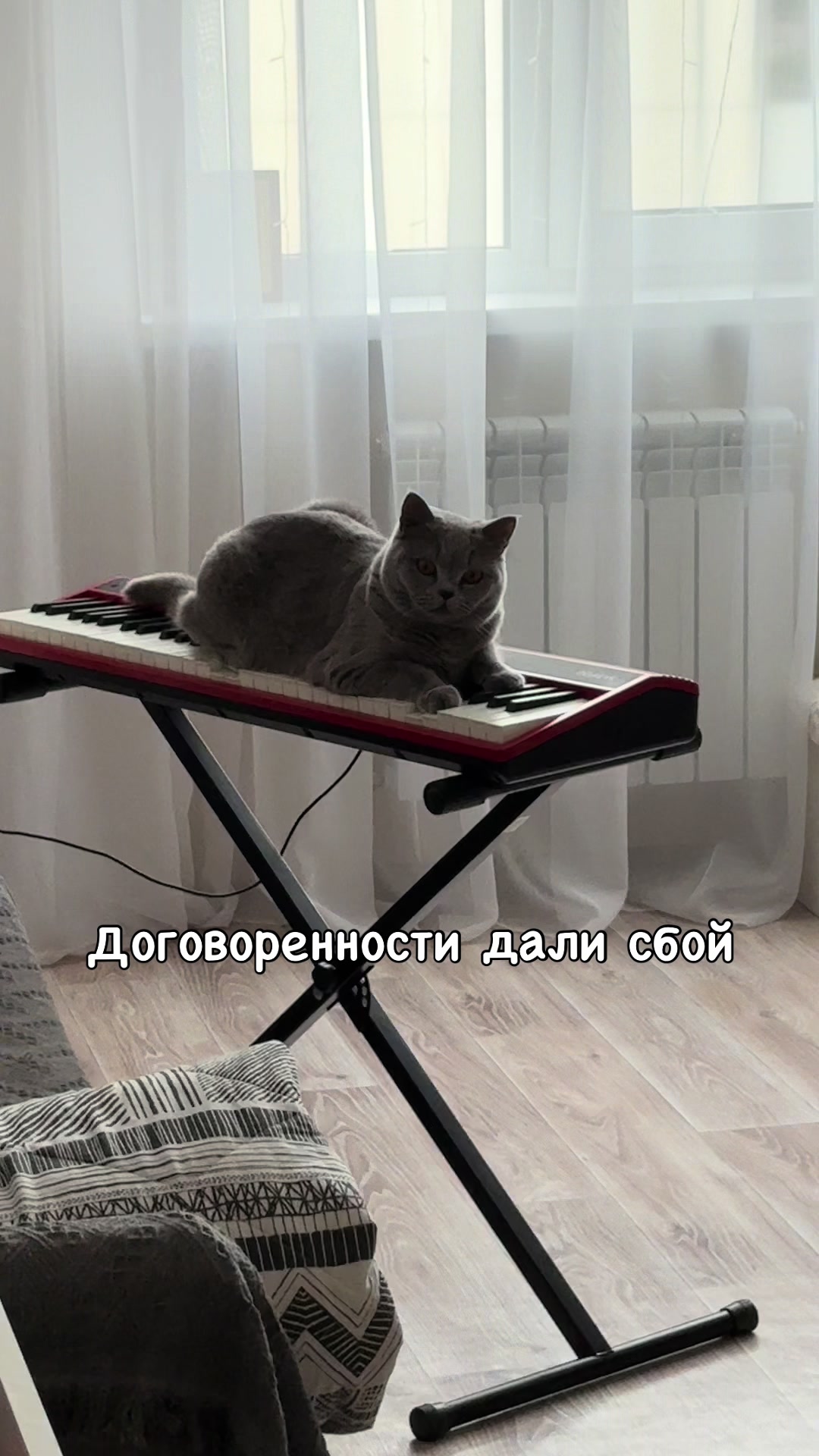 @ДАНЯ ЛЕОНТЬЕВА|Артист