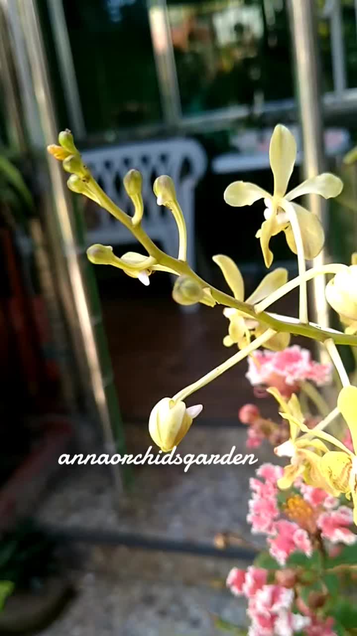 @Anna J