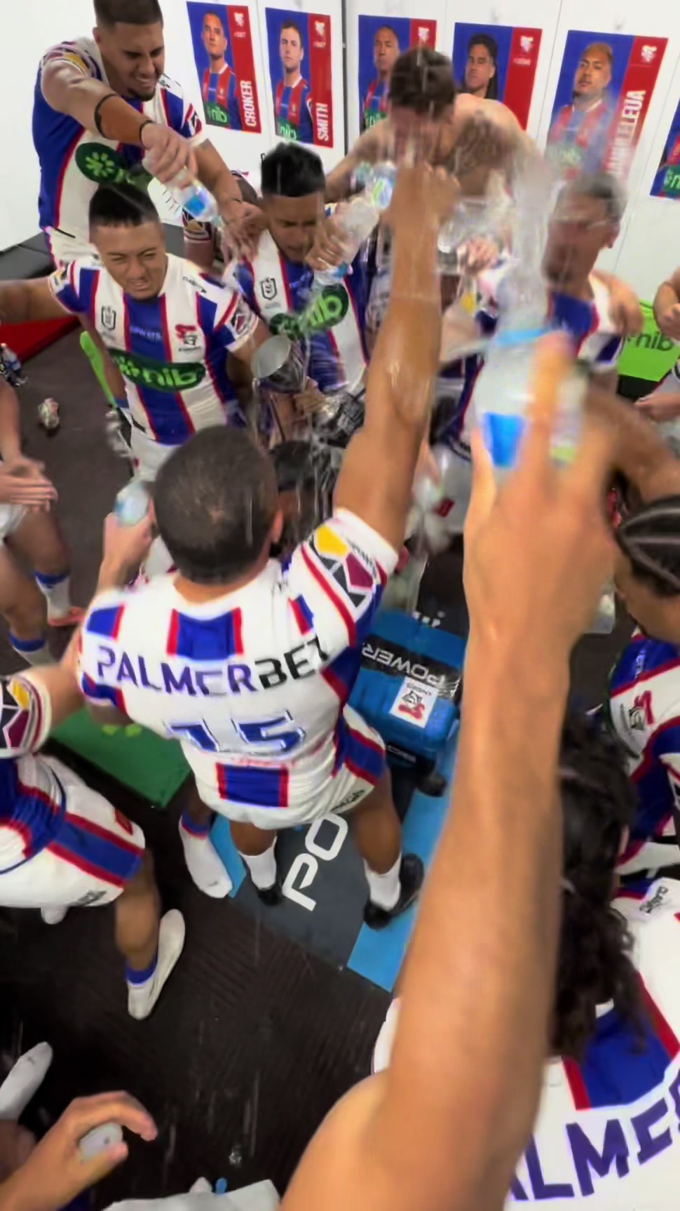 @Newcastle Knights