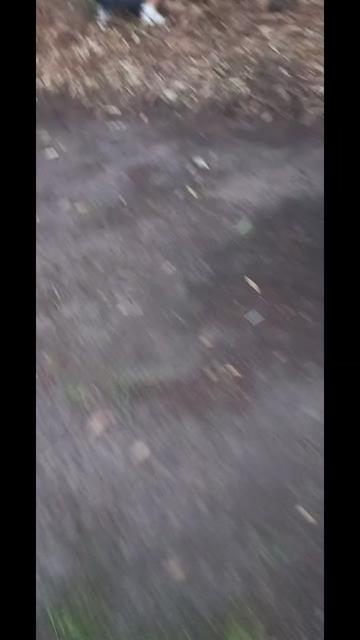 @Lanalgonadearg 🇦🇷