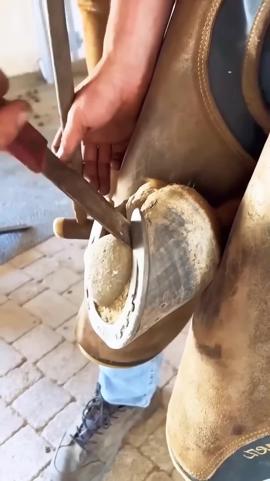 @cowhoof3