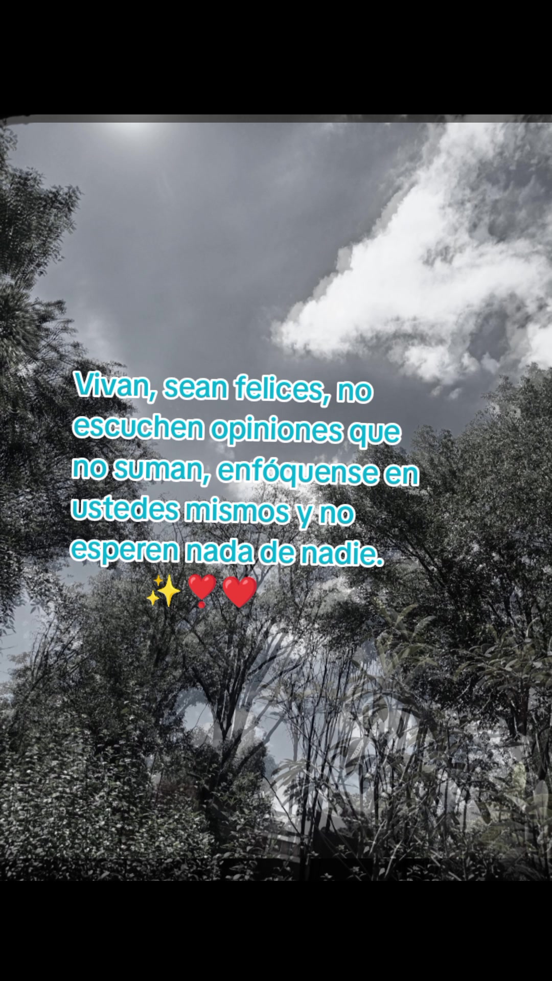 @paubonii