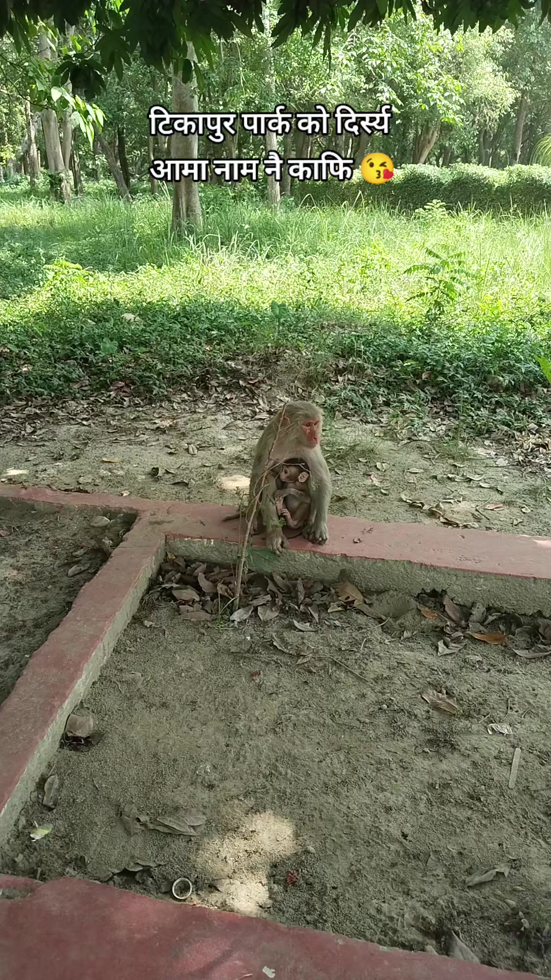 @NATIJA ❤️🕉️🔱🙏🏻