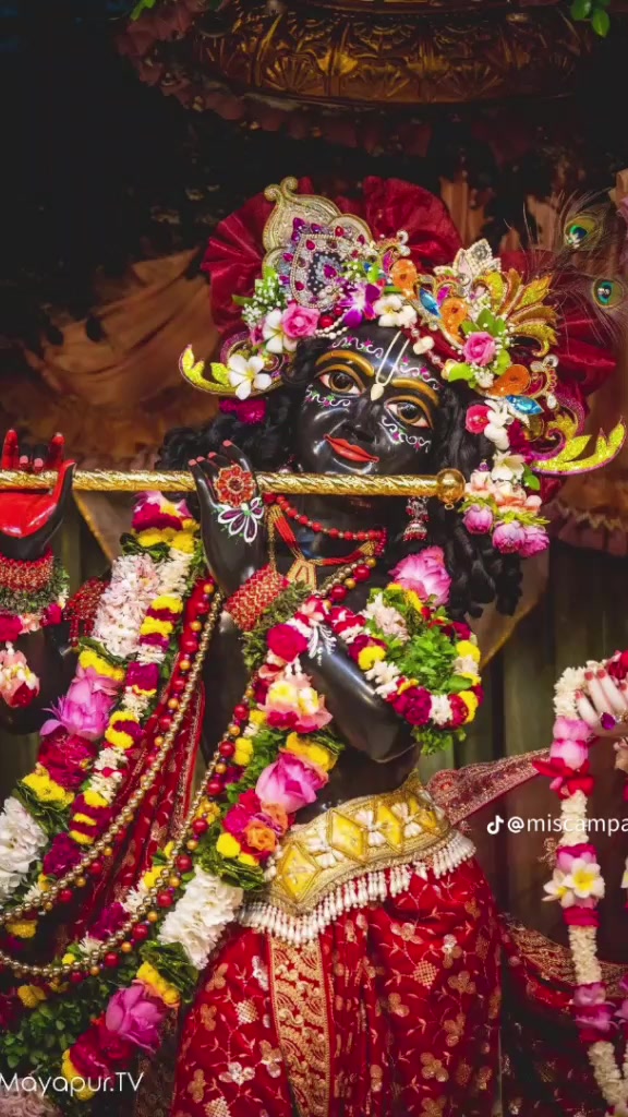 @রাজ চৌধুরী রাজ