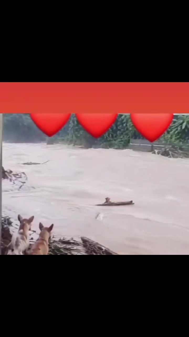 @Ramkushwaha108