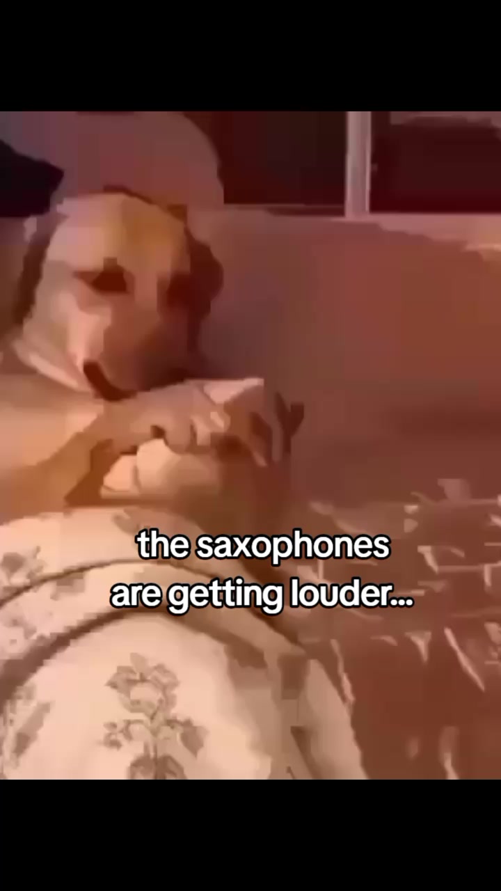 @TAX