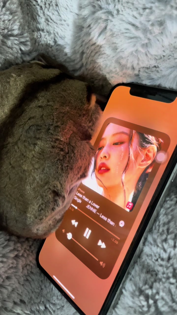 @Sadglider