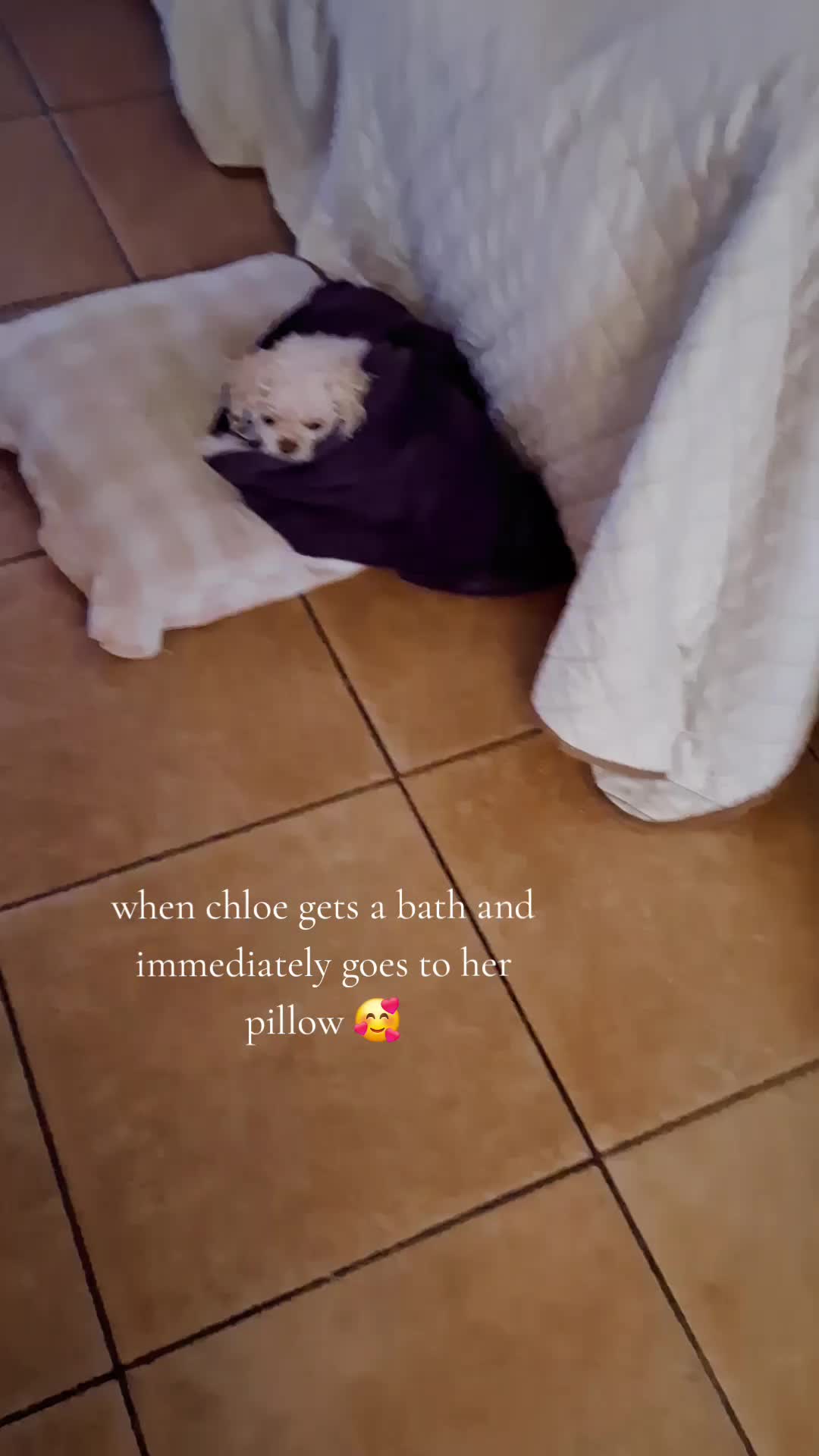 @Mysweetaudrinaa