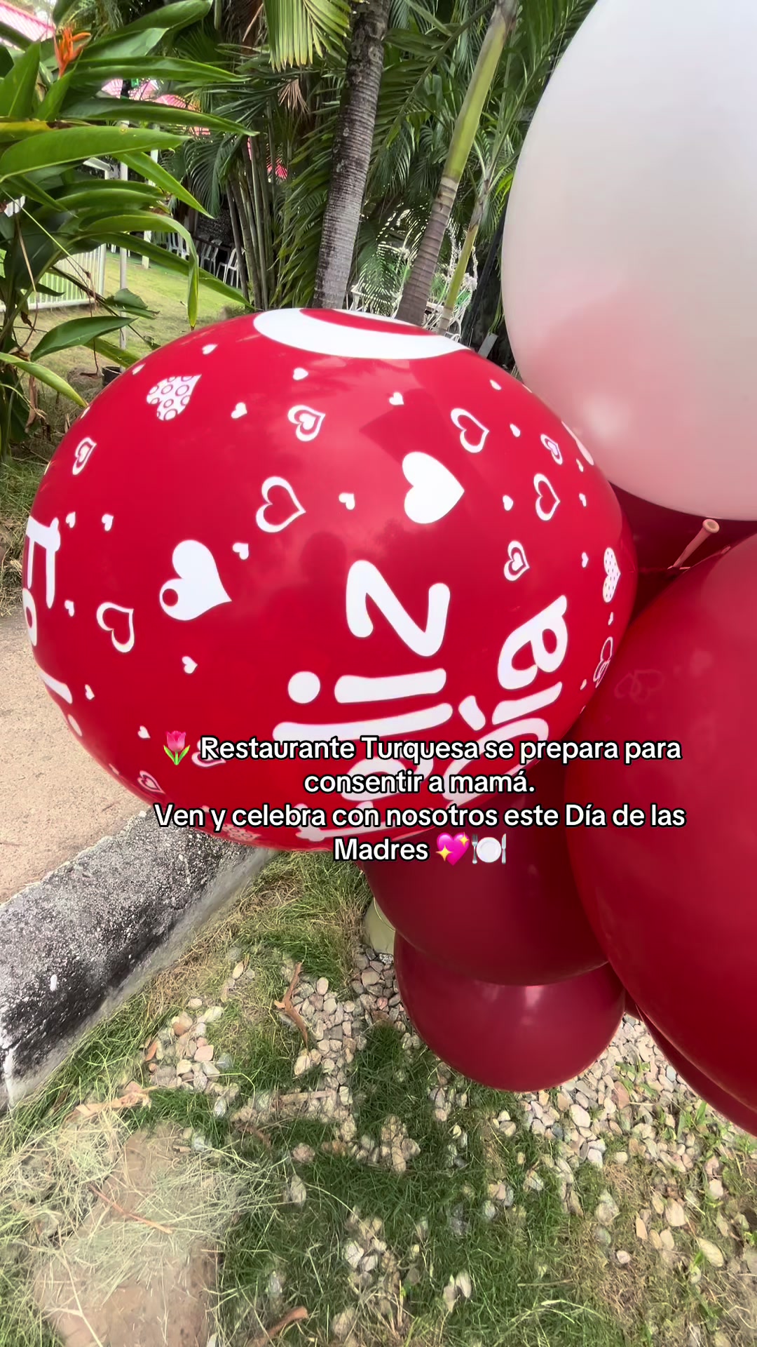@Rapunzel💐