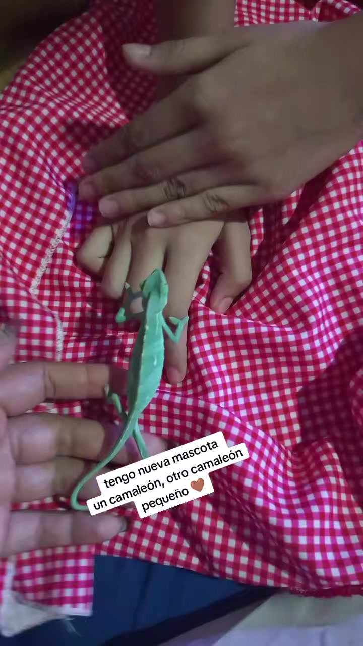 @Michi katyblox